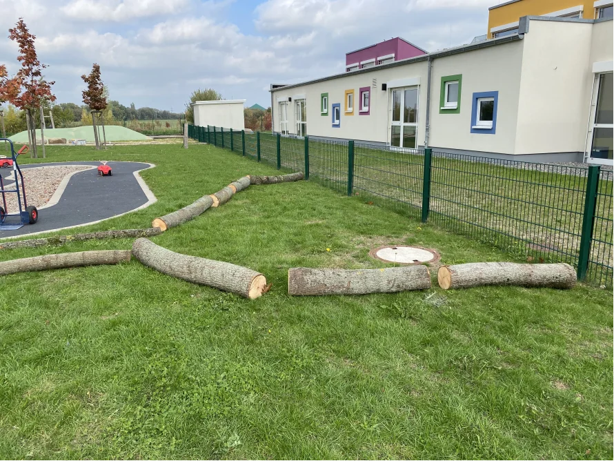 Baumstämme auf Rasenfläche