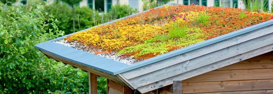 Gartenhaus mit begrünten Dach