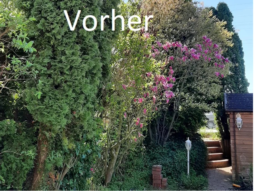 Überwucherter Garten mit Gartenhaus