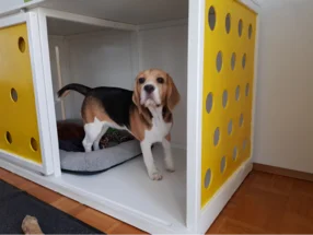 Hund in einer Hundehütte