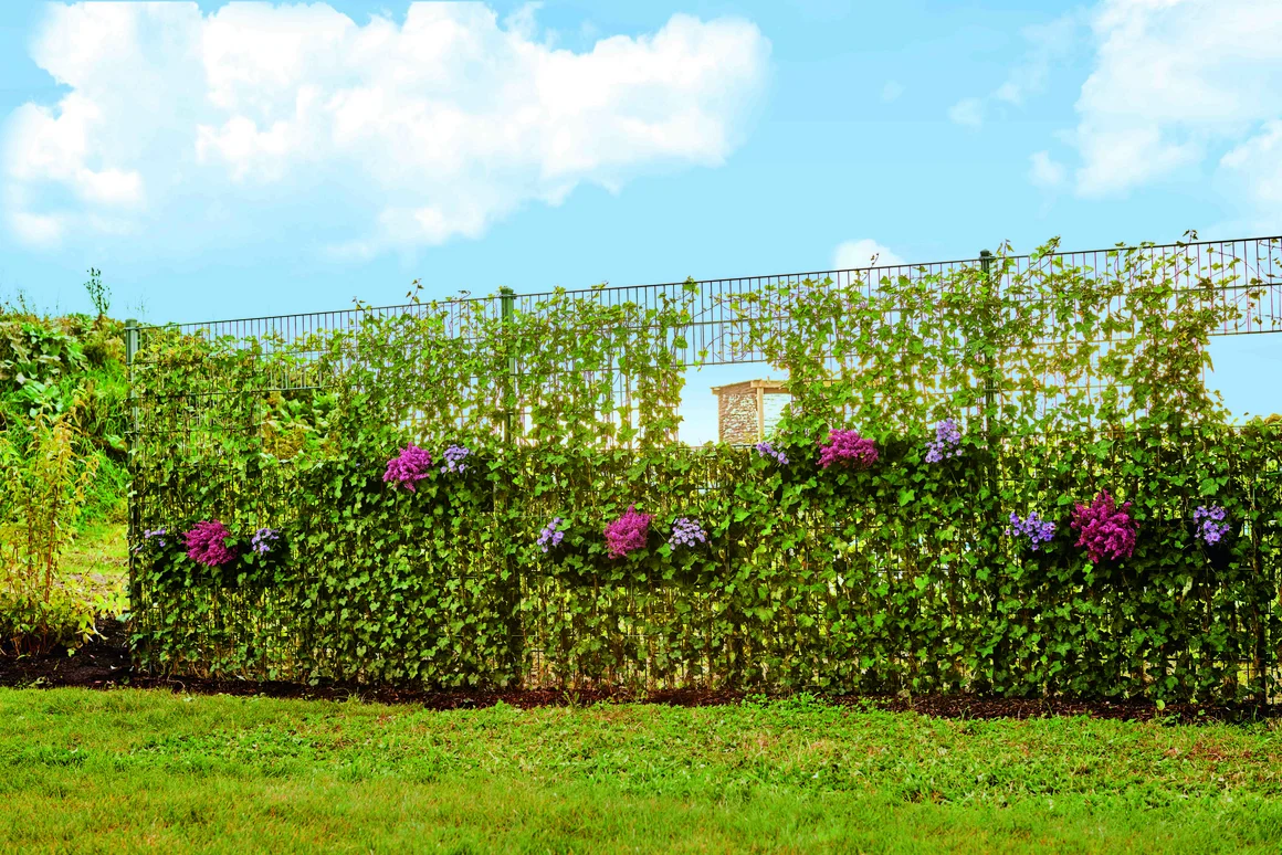 Zaun mit Kletterpflanzen und Blumen