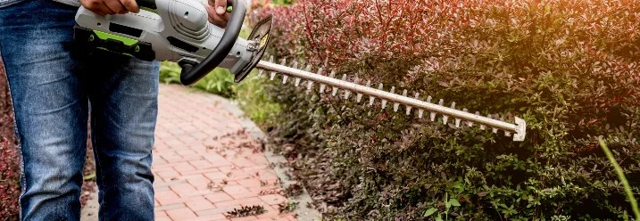 Person schneidet Hecke mit Heckenschere