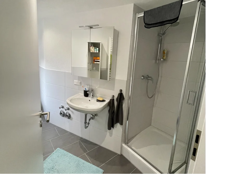 Modernes Badezimmer mit Dusche und Waschbecken.