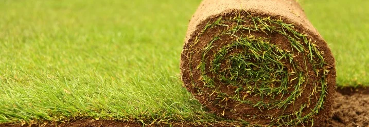 Rollrasen wird verlegt