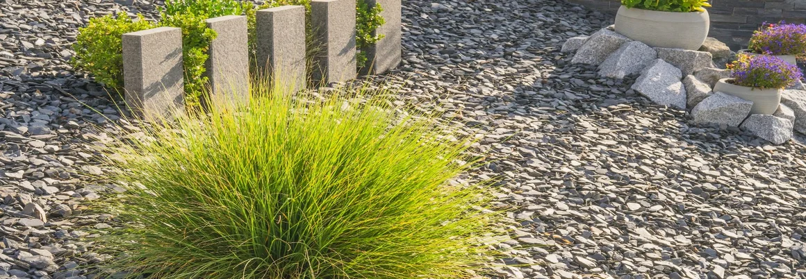 Ziergräser im Garten