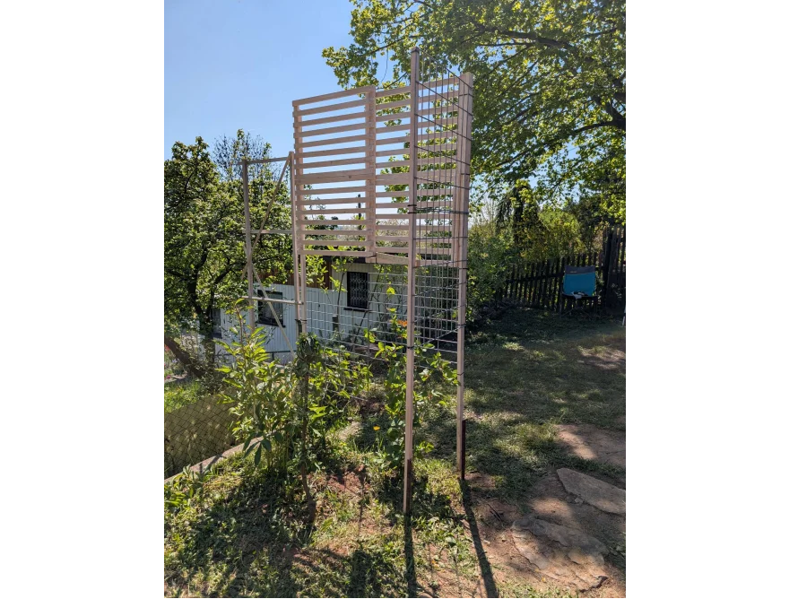 Holzrankgitter im Garten