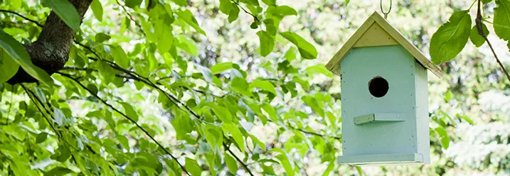 Helles Vogelhaus hängt im Baum