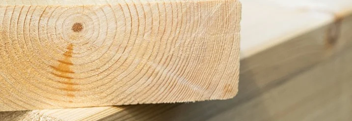 Nahaufnahme von geschnittenem Holz