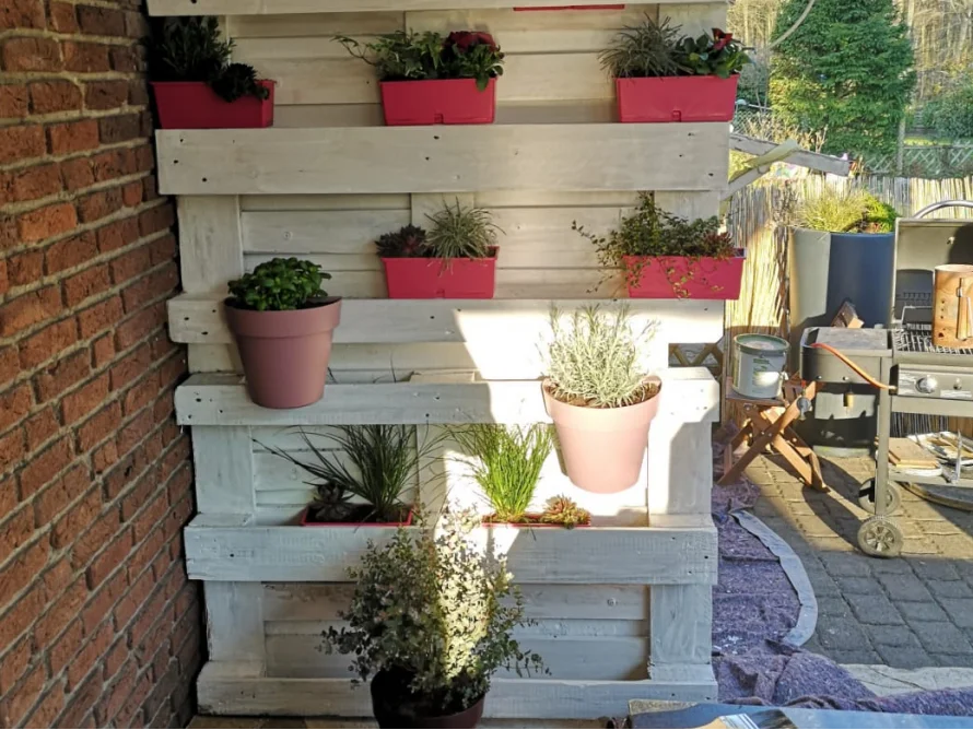 Vertikaler Garten mit mehreren Pflanzen