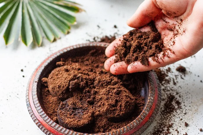Hand hält Kaffeesatz über einer Schale