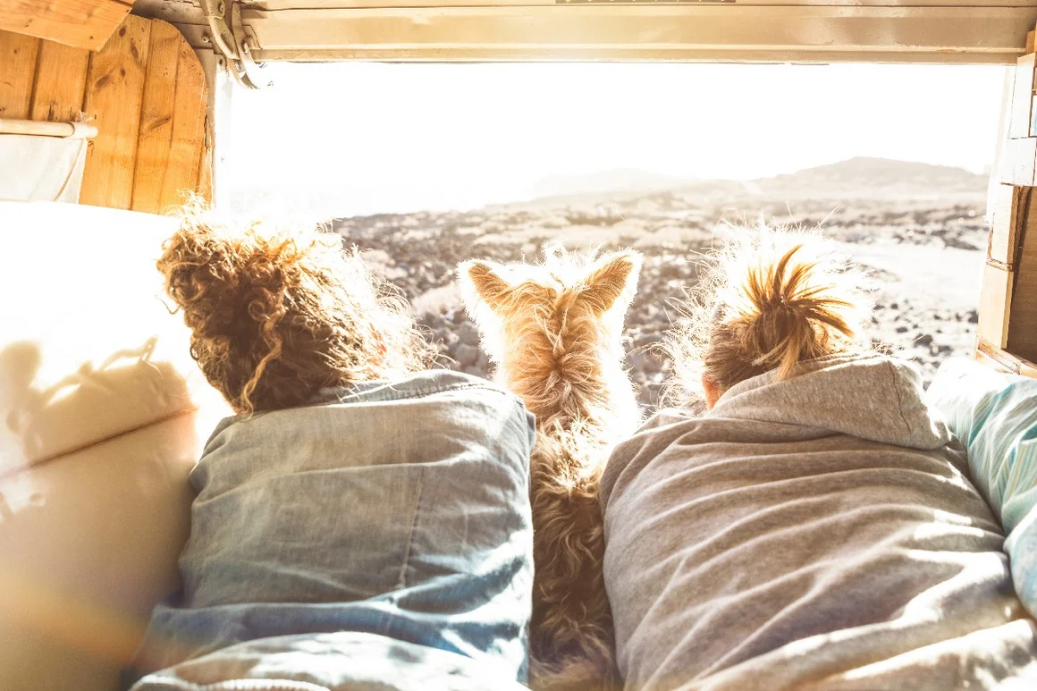 Zwei Personen und ein Hund in einem Van