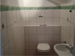 Toilette mit Froschmuster