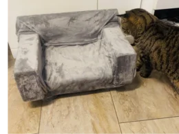 Graues Katzenbett mit Katze