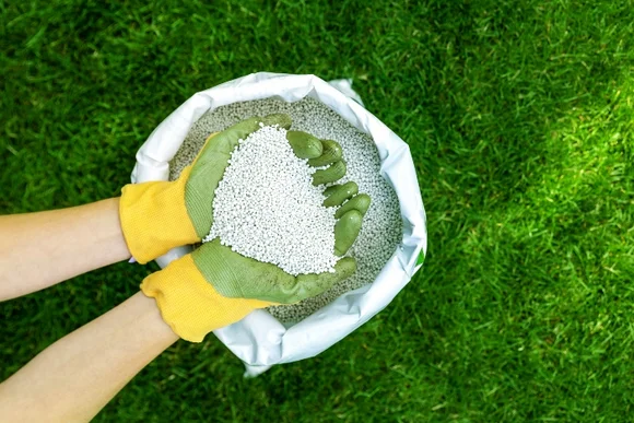 Hände mit Gartenhandschuhen halten Rasendünger
