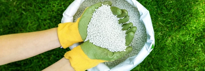 Hände mit Gartenhandschuhen halten Dünger