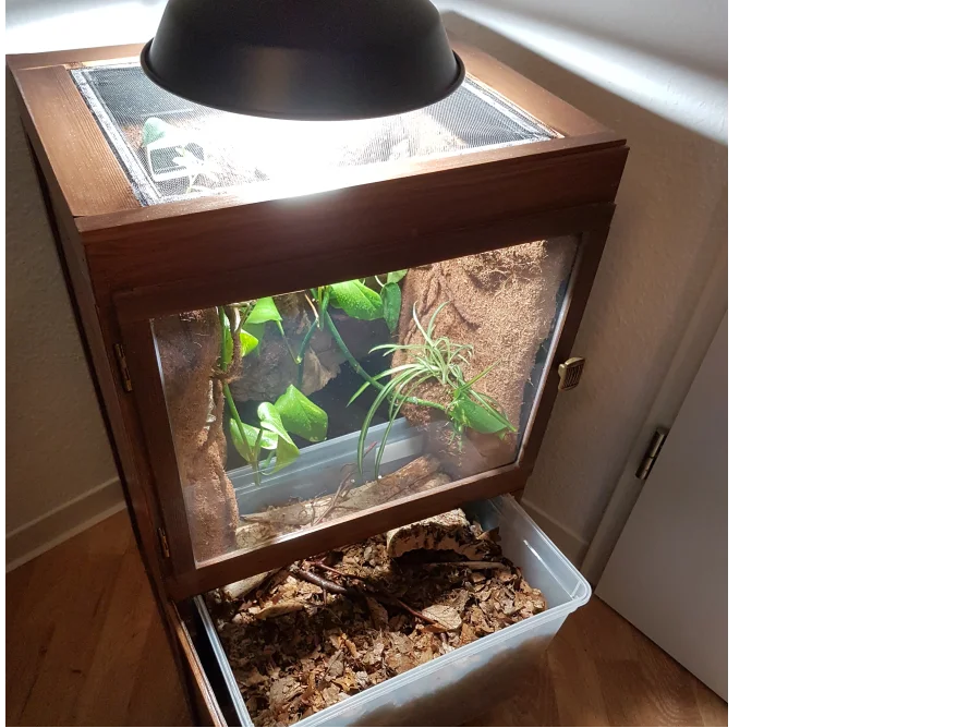 Ein Terrarium aus Holz mit Beleuchtung.