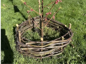 Flechtzaun um Baum