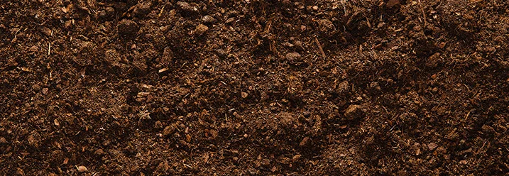 Dunkle Gartenerde