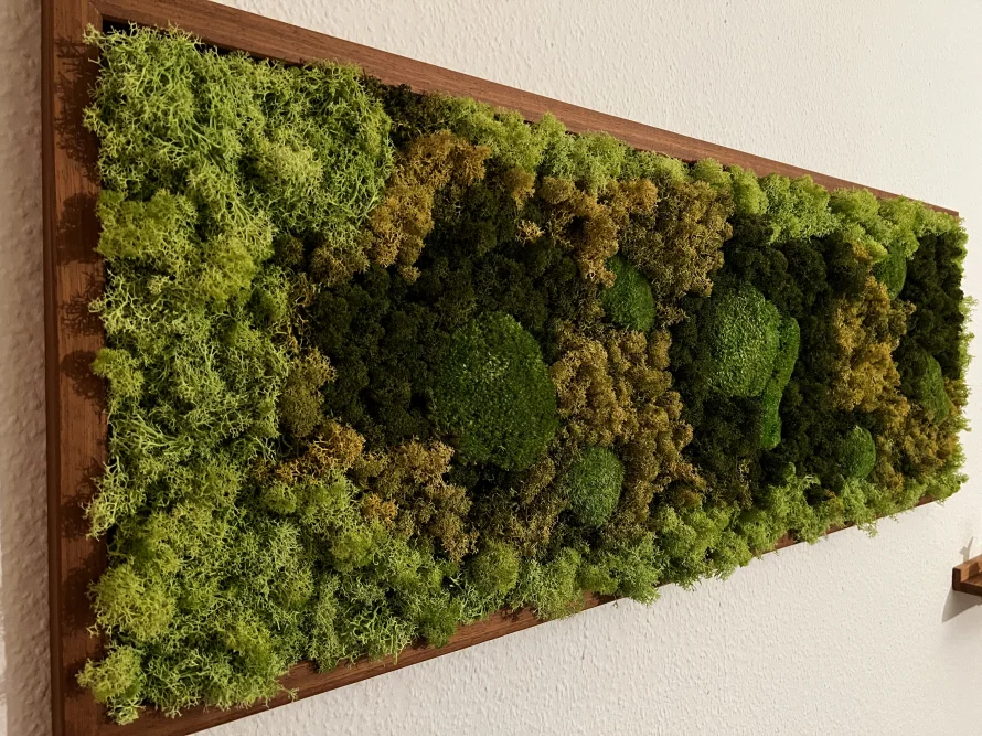 Gemälde aus Moos in Holzrahmen