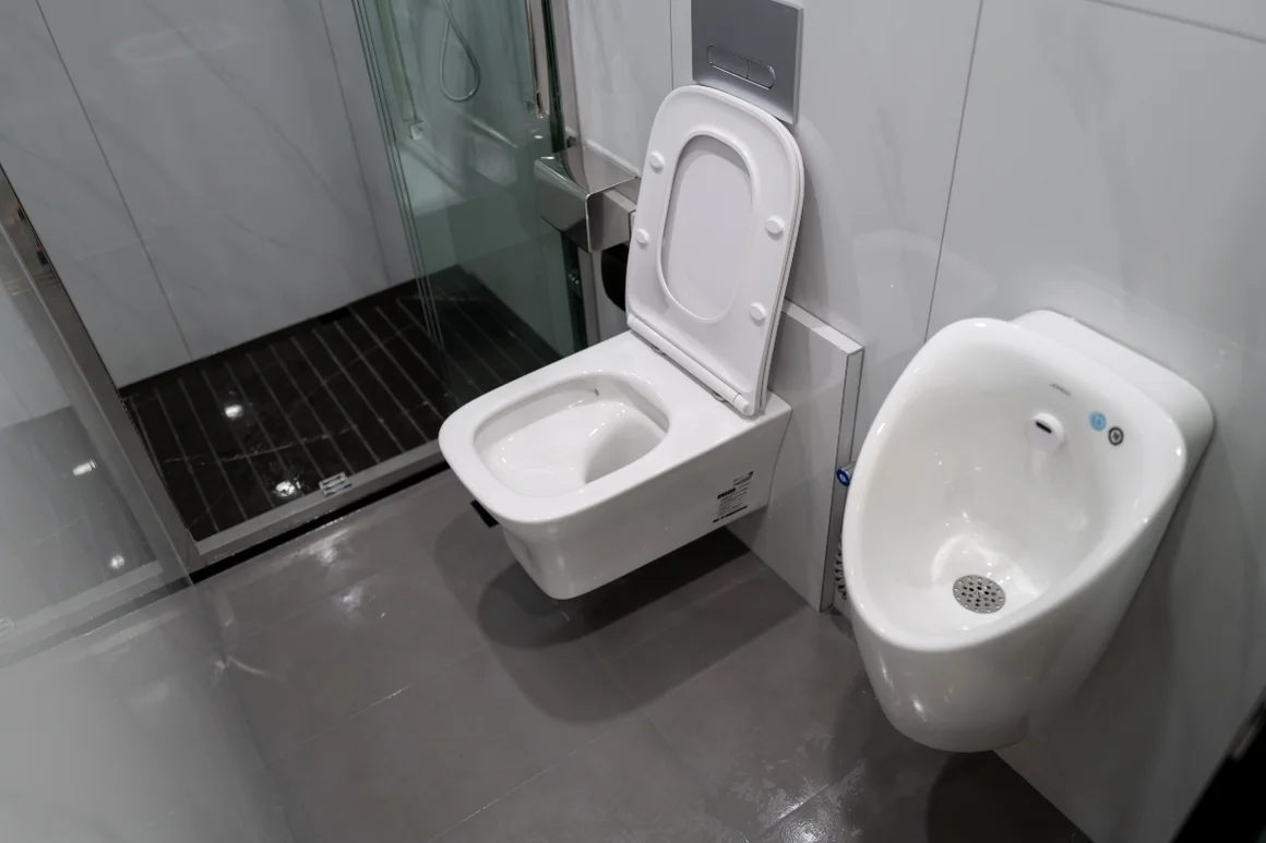 Moderne Toilette und Urinal