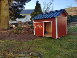 Rote Hundehütte im Garten