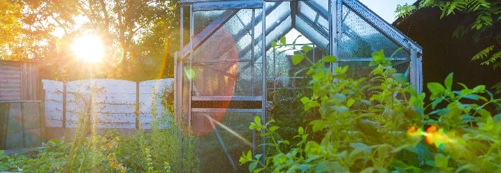 Gewächshaus im Garten