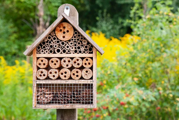 Insektenhotel