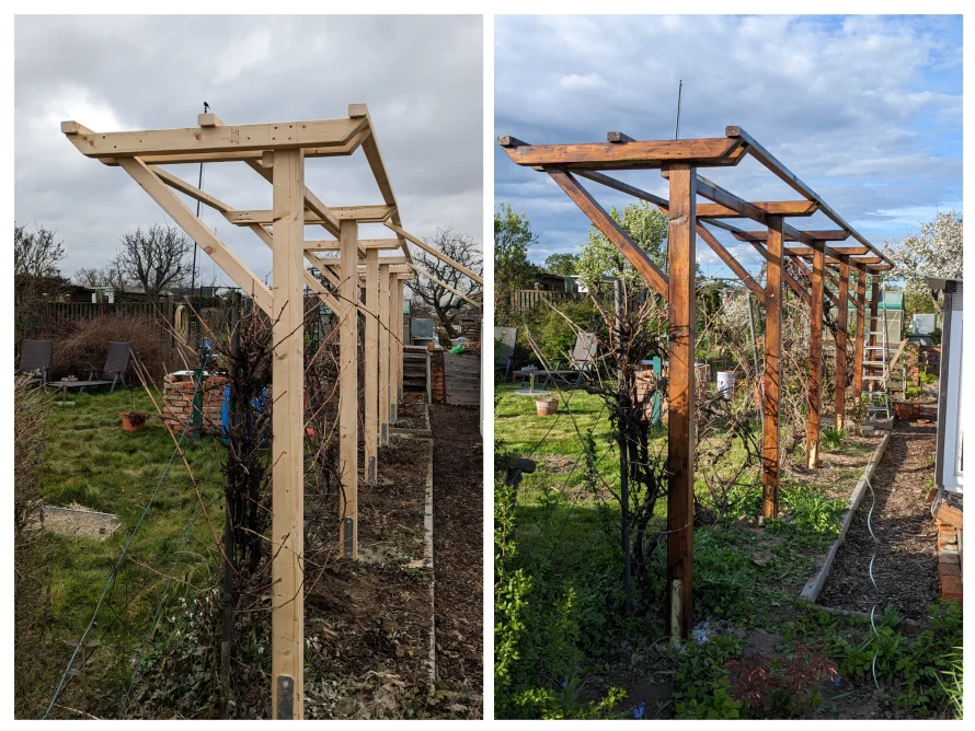 Holzgerüst im Garten: unbehandelt und lasiert