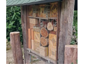 Insektenhotel an Holzhütte