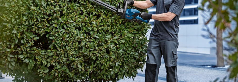 Person schneidet Hecke mit elektrischer Heckenschere
