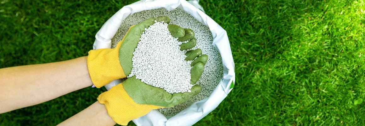 Hände mit Gartenhandschuhen halten Rasendünger