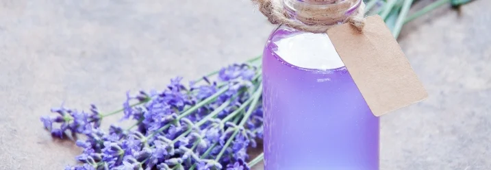 Eine Flasche Lavendelöl mit frischen Lavendelblüten