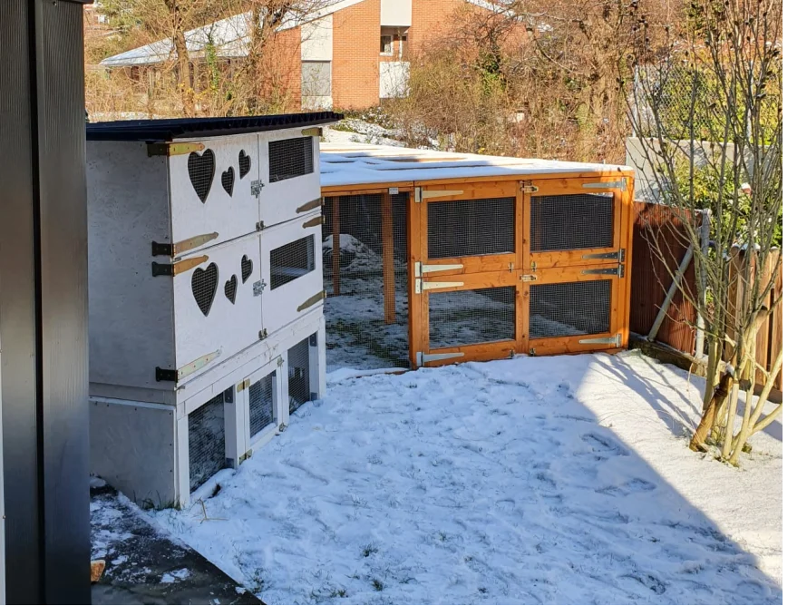 Tierstall im Schnee
