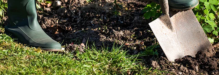 Person gräbt mit einem Spaten im Garten