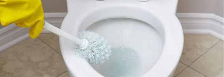 Toilette wird mit Klobürste gereinigt