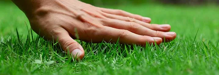 Hand berührt grünen Rasen
