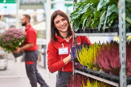 toom Mitarbeitende sortieren Pflanzen in Gartencenter