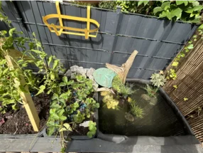 Garten mit Teich und Tomatenpflanzen