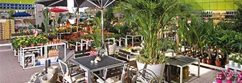 Verkaufsfläche mit Gartenmöbeln und Pflanzen