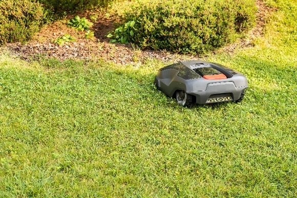 Mähroboter im Garten