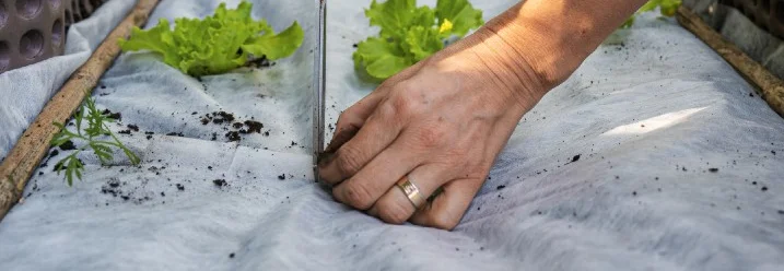 Eine Hand schneidet mit einer Schere in ein Gartenvlies im Hochbeet.