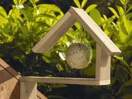 Vogelhaus Piepmatz