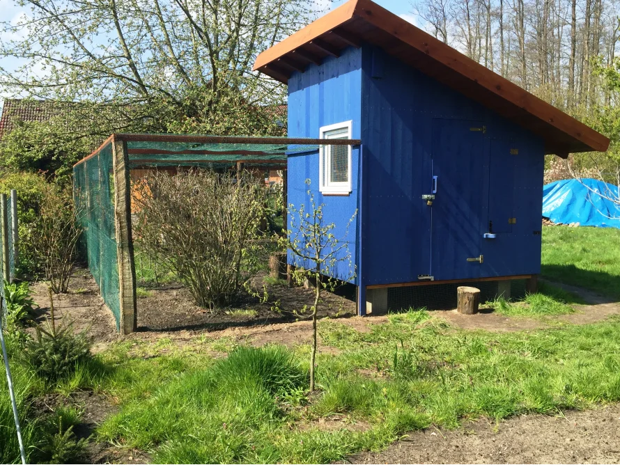 Blauer Hühnerstall mit Auslauf im Garten