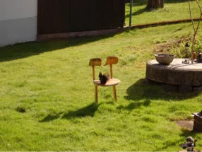 Eichhörnchen auf Stuhl im Garten