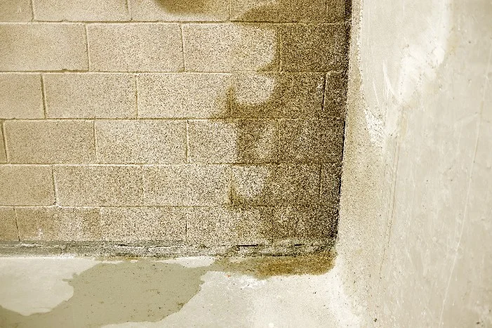 Feuchte Kellerwand aus Stein