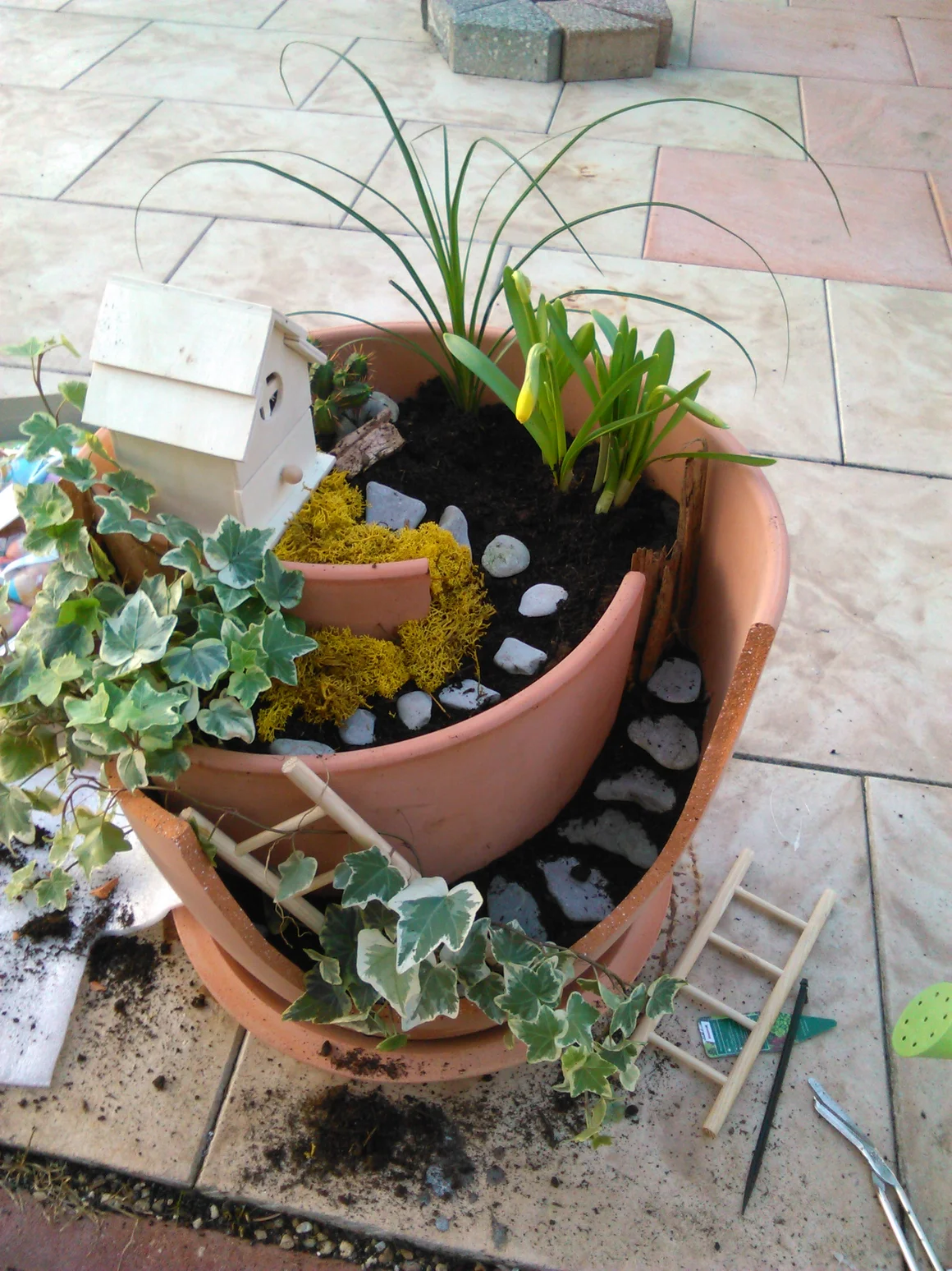 Miniatur-Garten im Topf