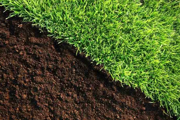 Grüne Rasenfläche neben brauner Erde