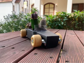 Kleines Auto aus Holz mit Sukkulenten bepflanzt