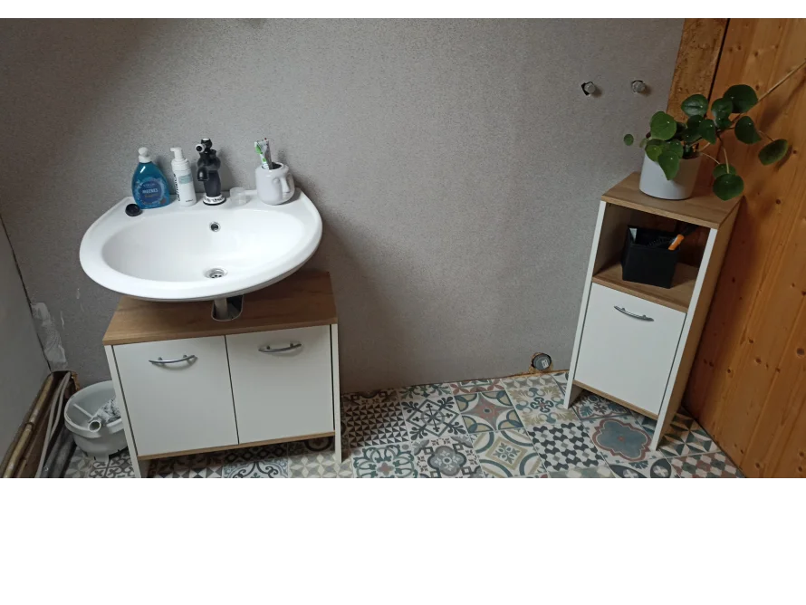 Waschbecken mit Schrank und Pflanze