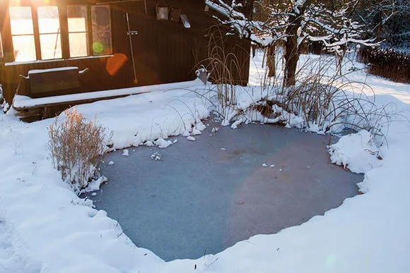 Zugefrorener Gartenteich